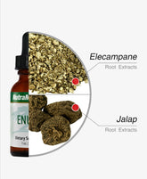 ENULA
MICROBIAL DEFENSE - GREEN LIFE CYPRUS